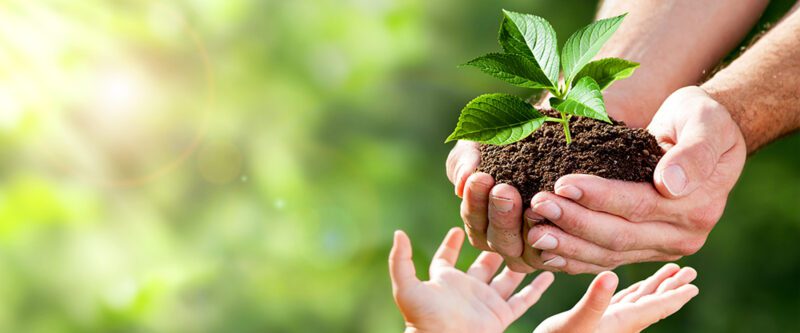 insurance for non-profit organizations | Image of adult hands giving plant to child hands